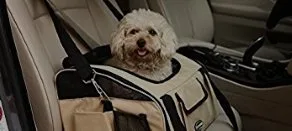 Car Seats for Dogs